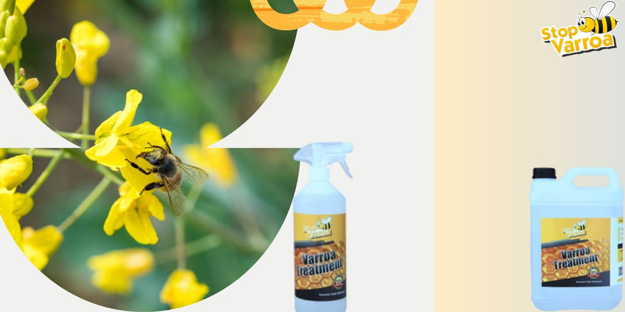 Predvídajte prítomnosť Varroa a účinne chráňte naše včely
