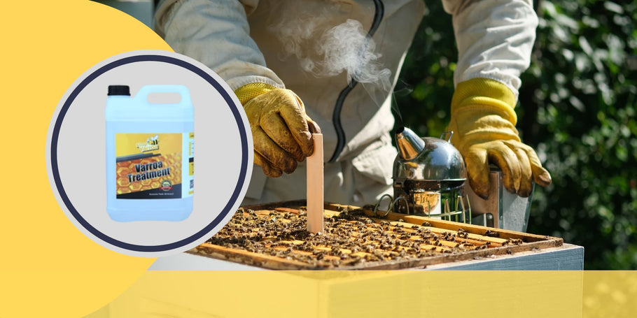 Boj proti roztočom Varroa: kľúčové momenty ochrany zdravia včiel