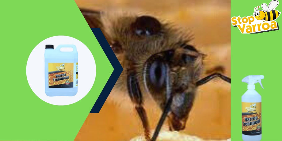 Anti-Varroa revolúcia: Riešenie, ktoré zachráni vaše včely