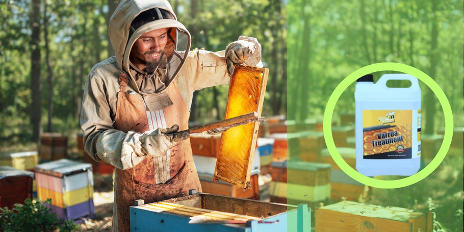 Ošetrenie proti varroáze: Chráňte svoje včely a zvýšte produkciu medu