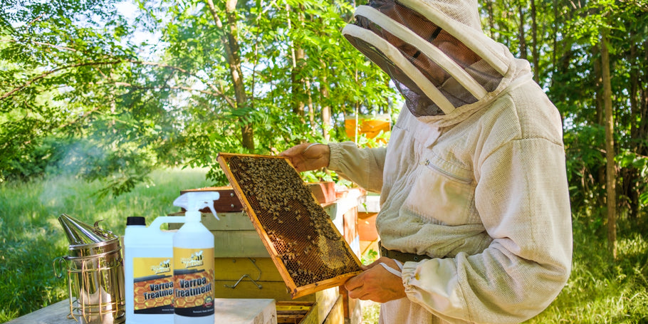 Roztoče Varroa: hrozba pre včely, riešenia pre včelárov